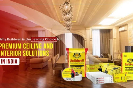 Why Buildwell is the Leading Choice for Premium Ceiling and Interior Solutions in India