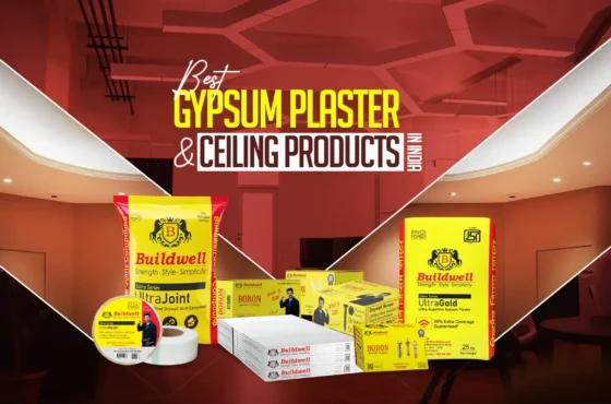 Buildwell: The Future of Gypsum Plaster and Ceiling Solutions in India