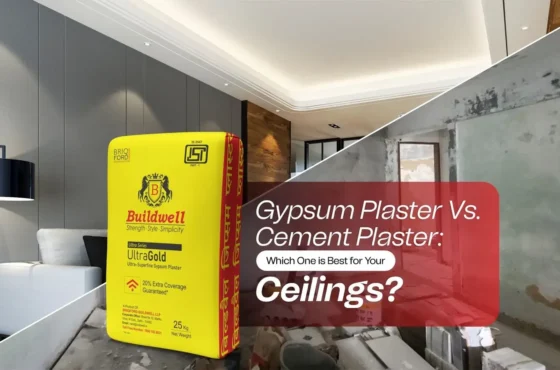 Gypsum Plaster vs. Cement Plaster: Which One is Best for Your Ceilings?