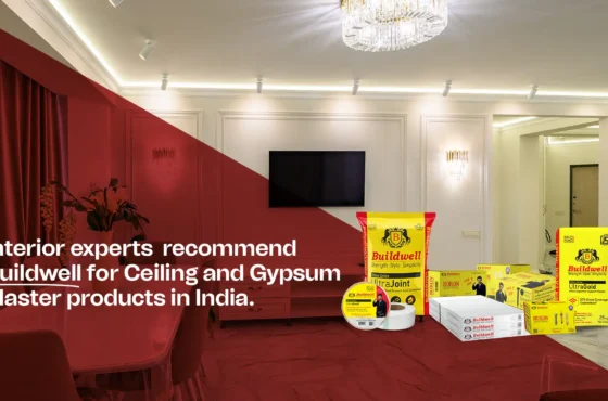 Interior Experts Recommend Buildwell for Ceiling and Gypsum Plaster Products in India