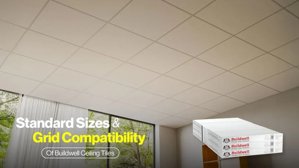 Standard Sizes and Grid Compatibility of Buildwell Ceiling Tiles