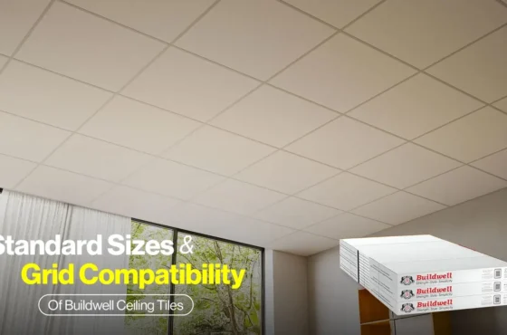 Standard Sizes and Grid Compatibility of Buildwell Ceiling Tiles