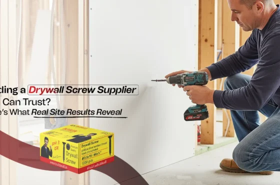 Finding a Drywall Screw Supplier You Can Trust? Here’s What Real Site Results Reveal