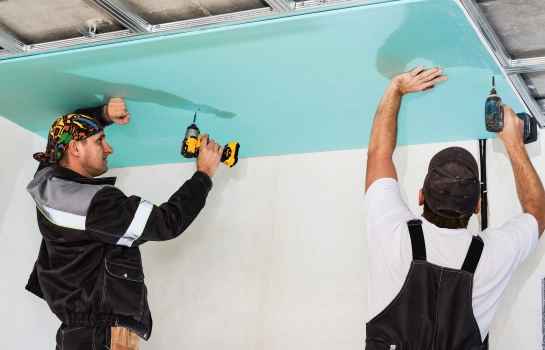 Buildwell black gypsum screws for ceiling and drywall fixing – Buildwell