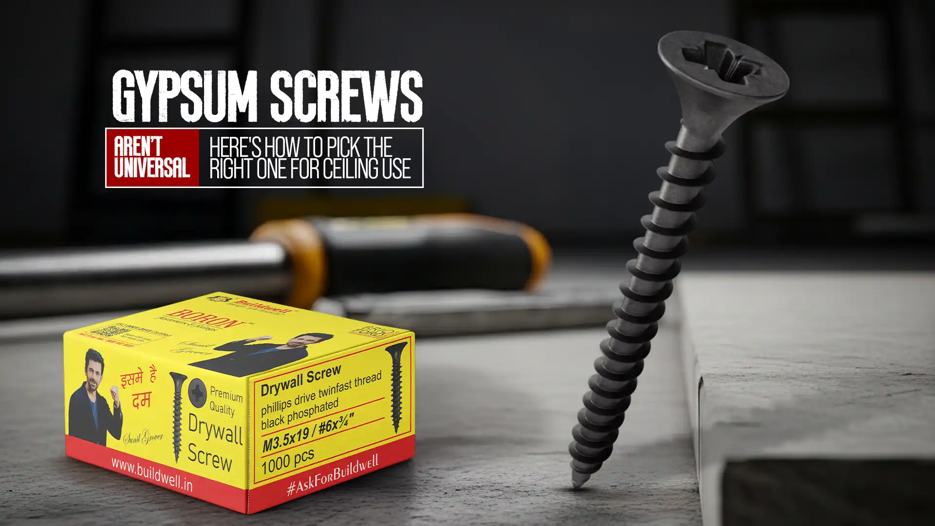 Buildwell Gypsum Screw box and close-up of a black gypsum screw for ceiling and drywall installation.