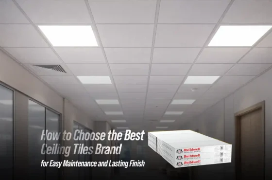 How to Choose the Best Ceiling Tiles Brand for Easy Maintenance and Lasting Finish