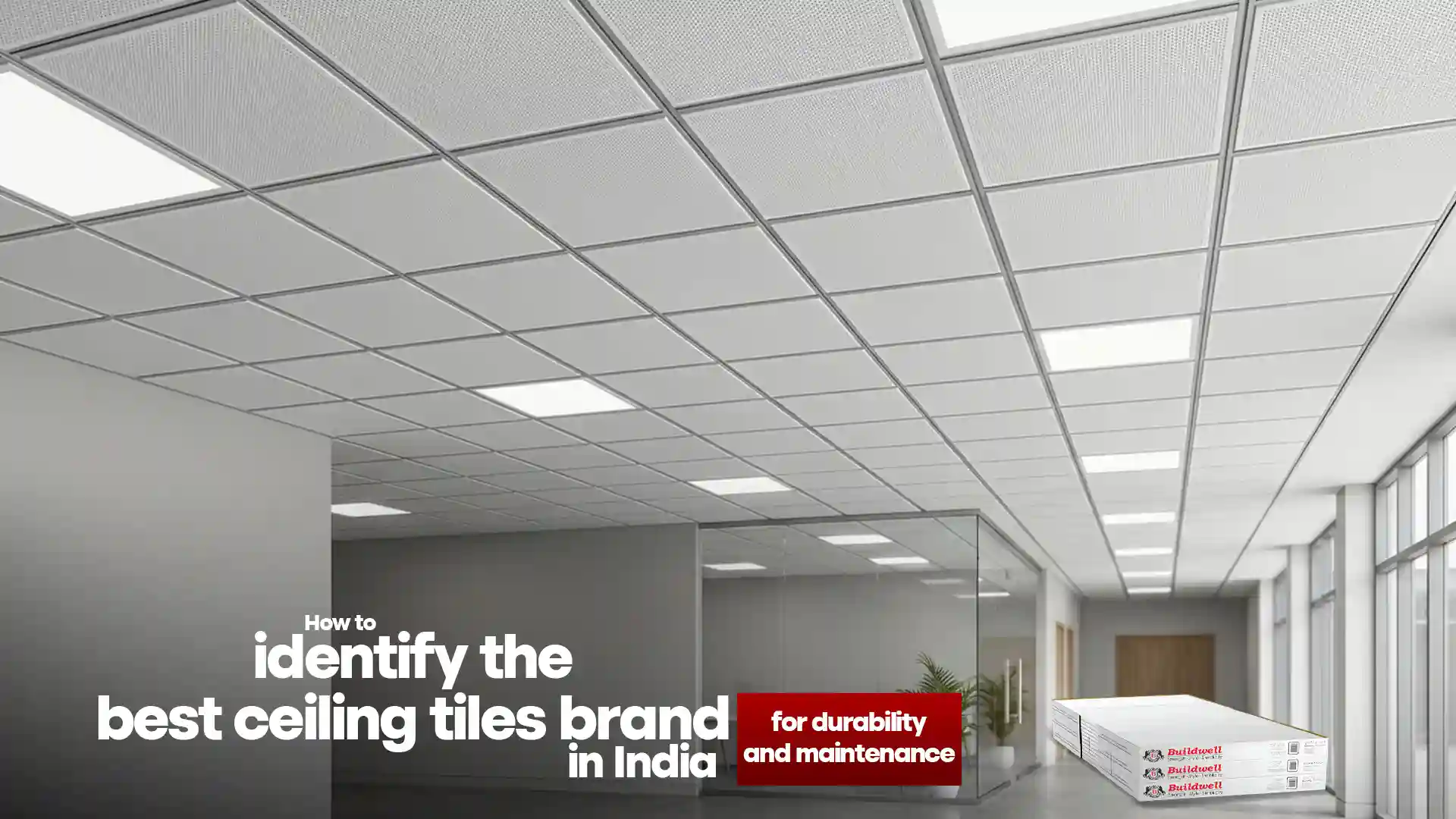 Best ceiling tiles brand in India displayed in a modern commercial interior showcasing grid ceiling installation, clean finish, durability, and easy maintenance design