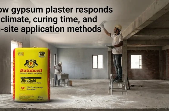 How gypsum plaster responds to climate, curing time, and on-site application methods
