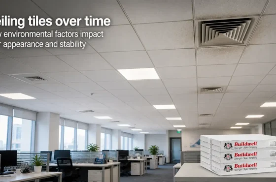 Ceiling tiles over time: how environmental factors impact their appearance and stability